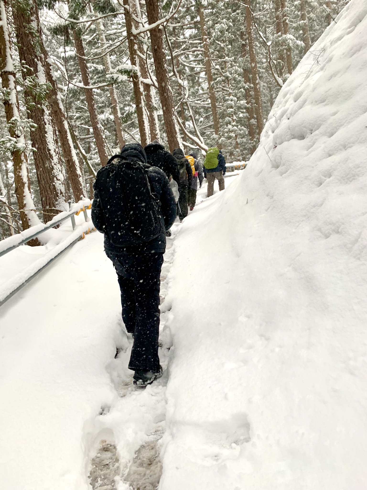 Walking up to the Snow Monkey Park